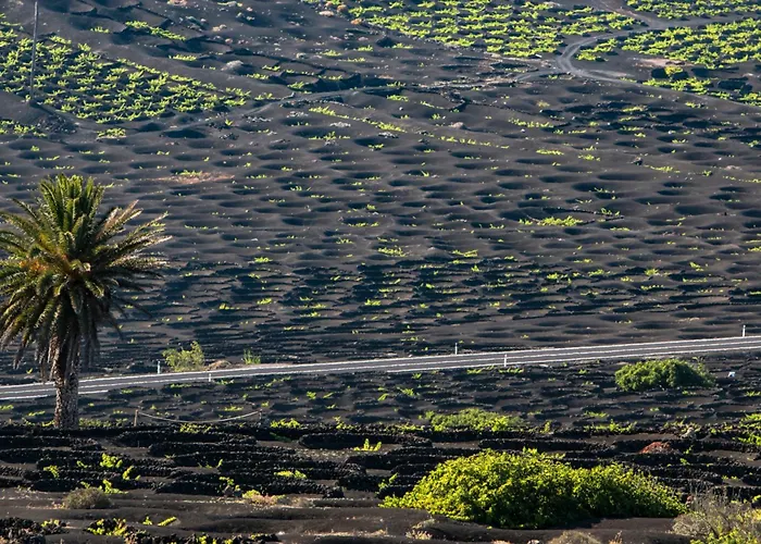 Home2book La Casita Del Puerto, Playablanca Playa Blanca (Lanzarote)